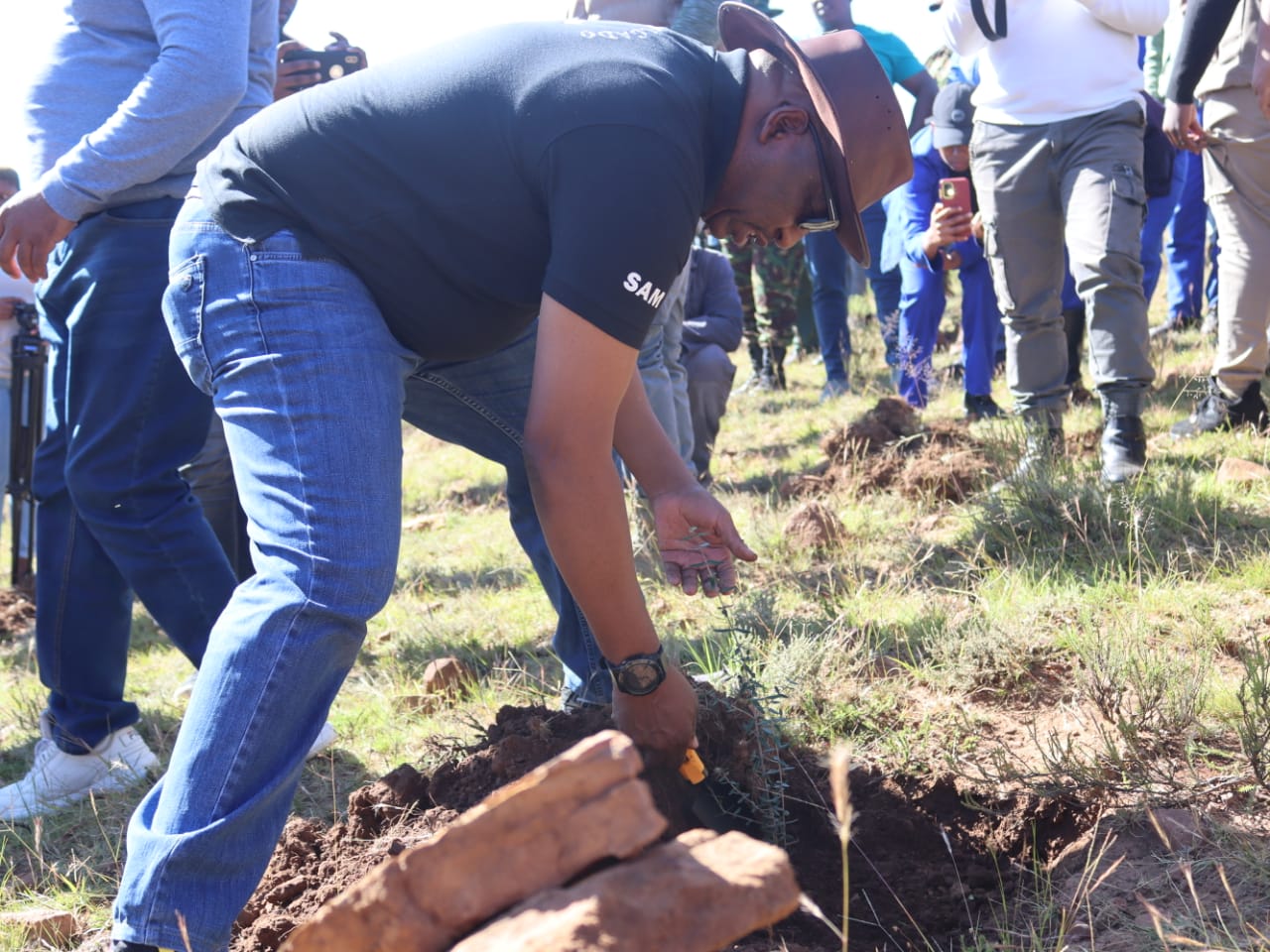 PM LEADS NATIONAL TREE PLANTING DAY HELD AT THABA-CHITJA, THABANA-MORENA IN MAFETENG.